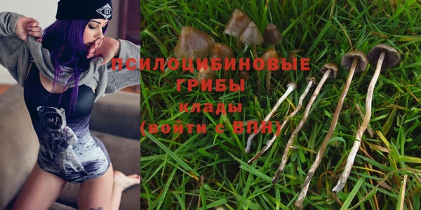 МДПВ Абдулино