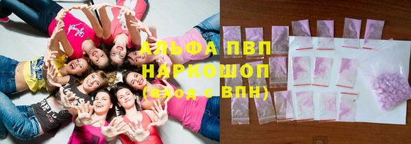 прущий лед Алзамай