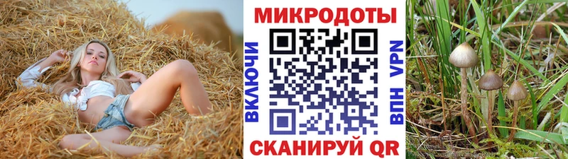 блэк спрут ссылка  Сухиничи  Псилоцибиновые грибы ЛСД 